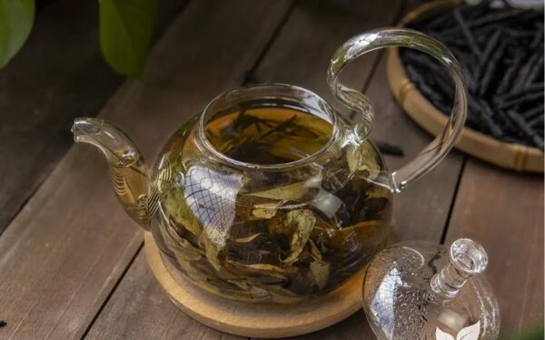 Nguồn gốc và đặc điểm của chè đắng Cao Bằng
