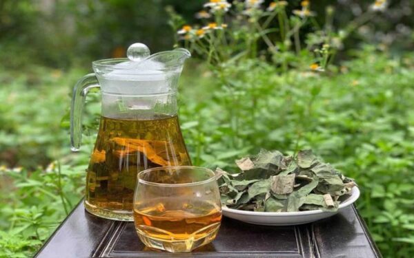 Trà lá sen - Biểu tượng của sự tinh khiết và an lành